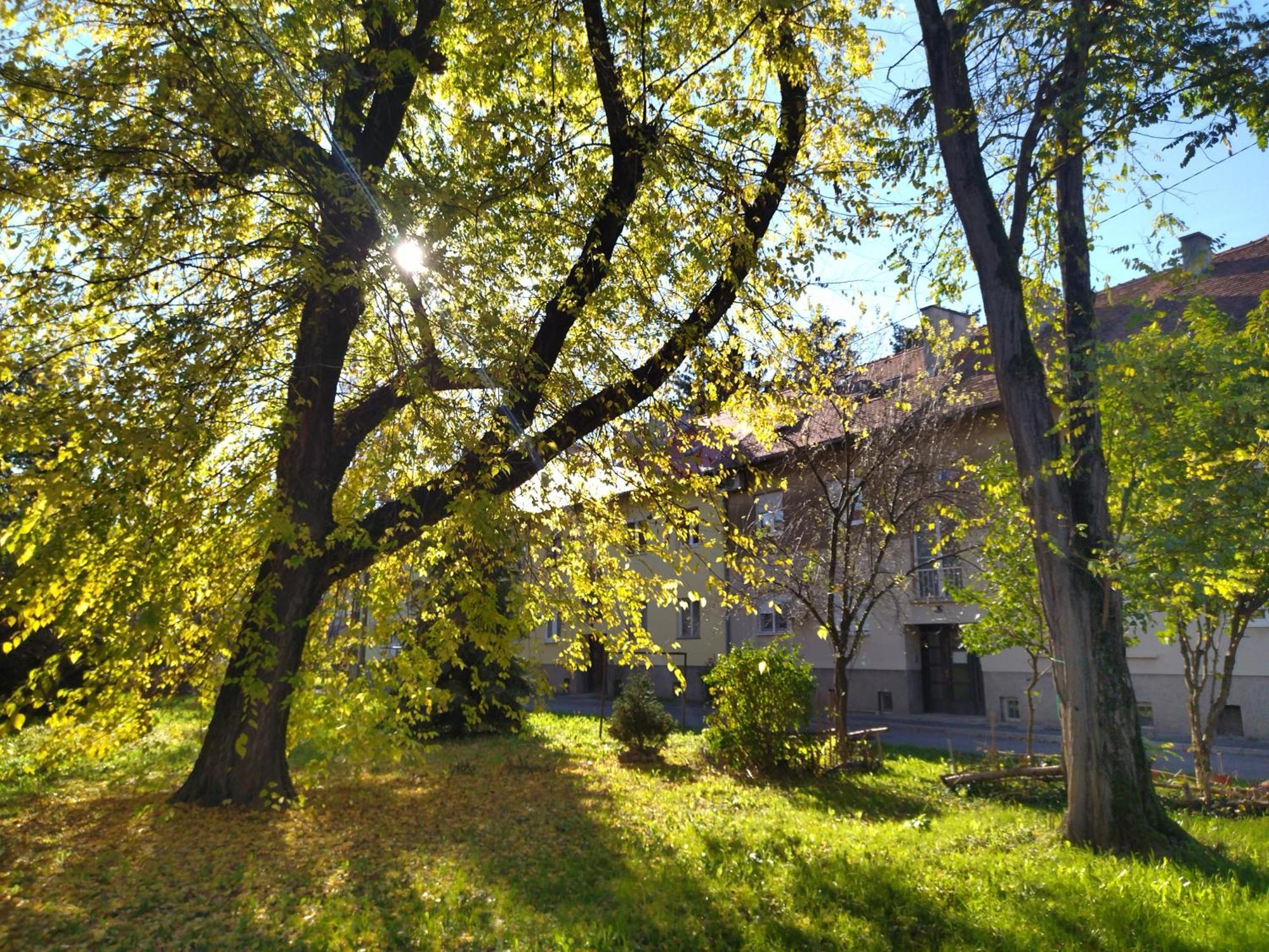 Apartment Angel Zagreb 1 Bagian luar foto